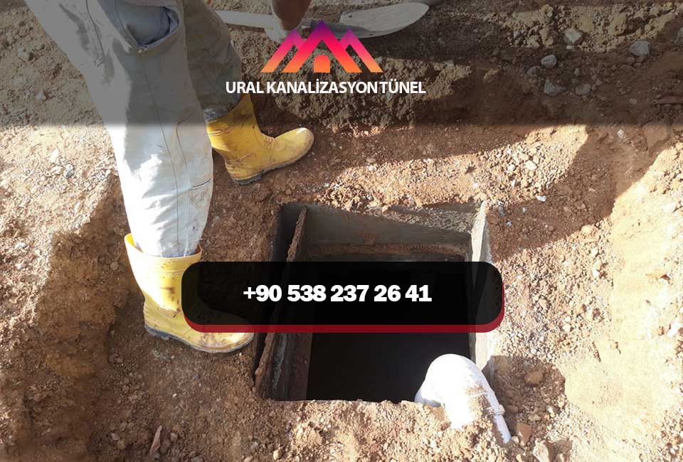 başın düşerse dara logarcı musayı ara